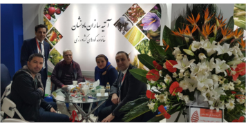 آتیه